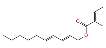 (E,E)-2,4-Decadienyl (E)-2-methyl-2-butenoate